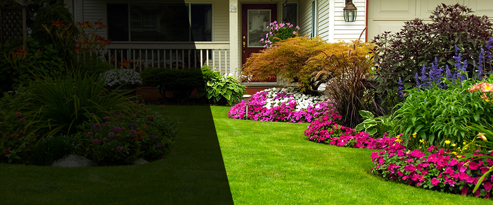 Clinton Landscapers